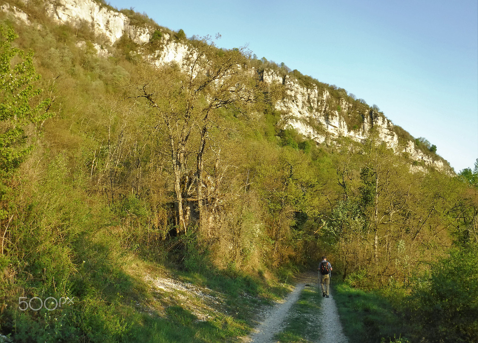 Fujifilm FinePix XP90 XP91 XP95 sample photo. Springtime in  in bugey photography