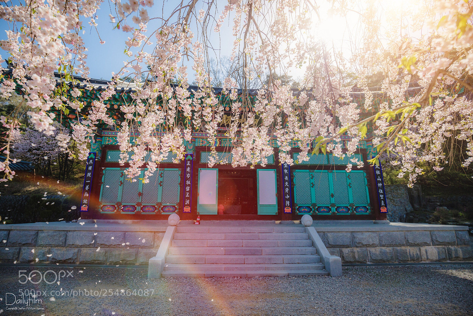 Canon EOS 6D Mark II sample photo. Spring wind photography