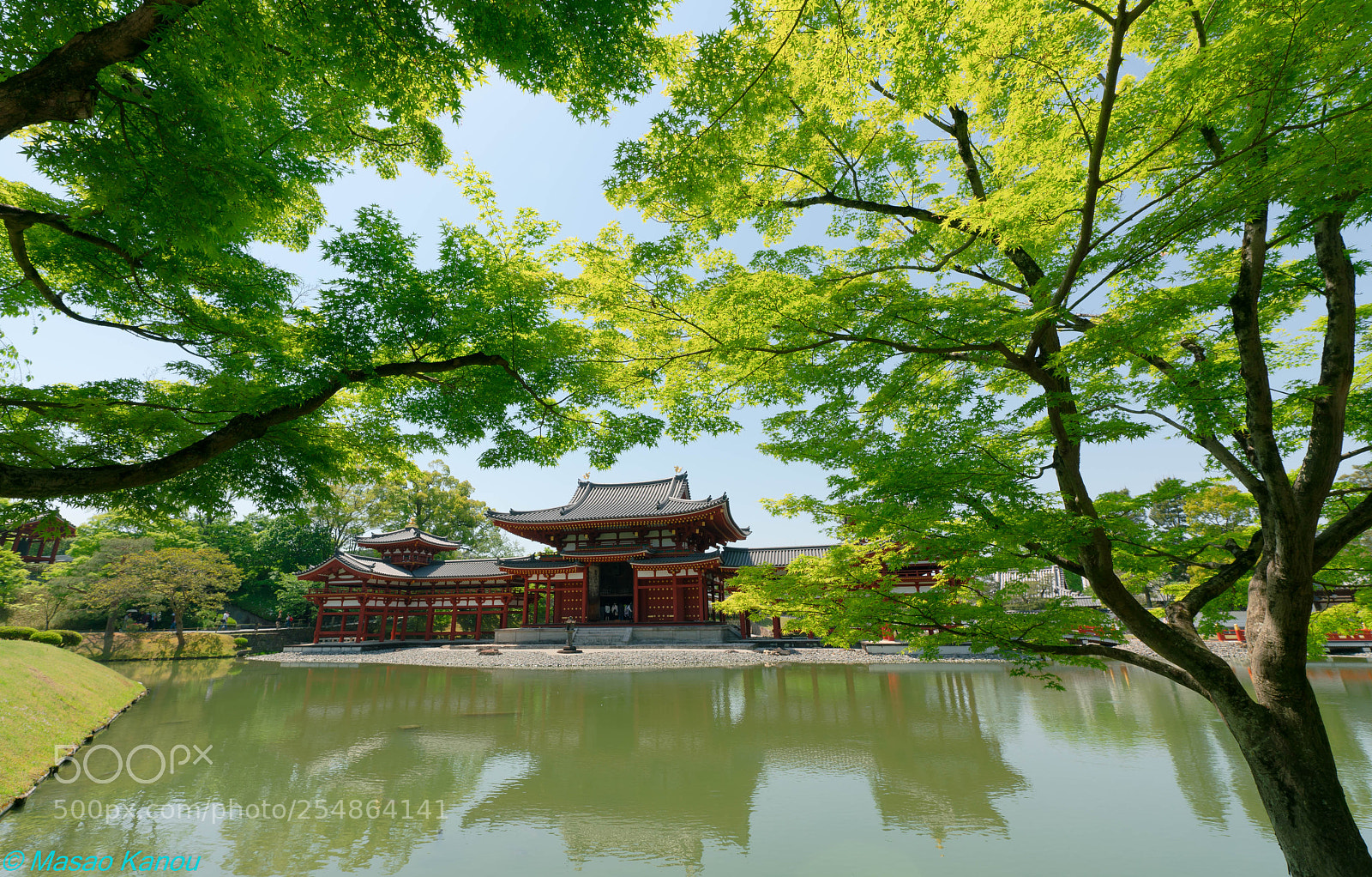 Sony a7R III sample photo. Fresh green photography
