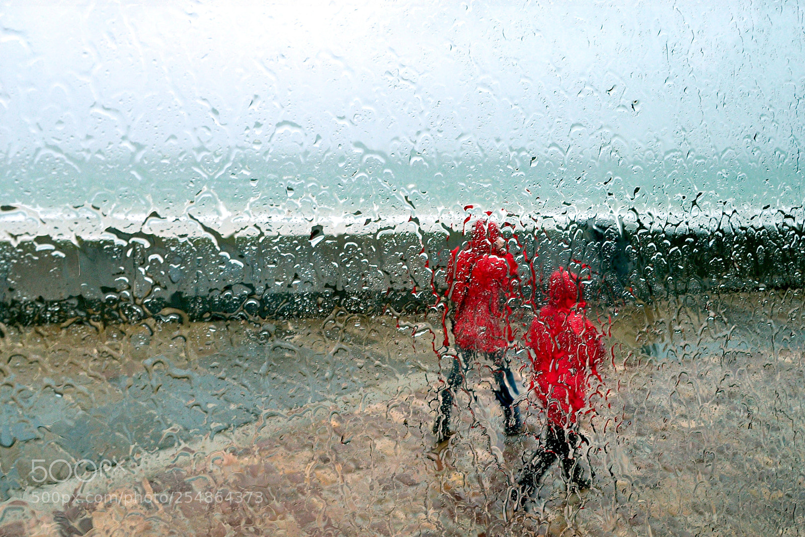 Nikon D5000 sample photo. Rain photography