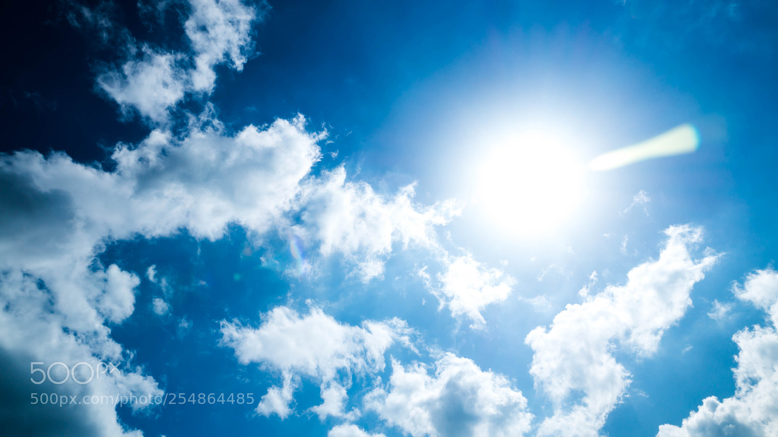 Sony SLT-A58 sample photo. Sunny day photography