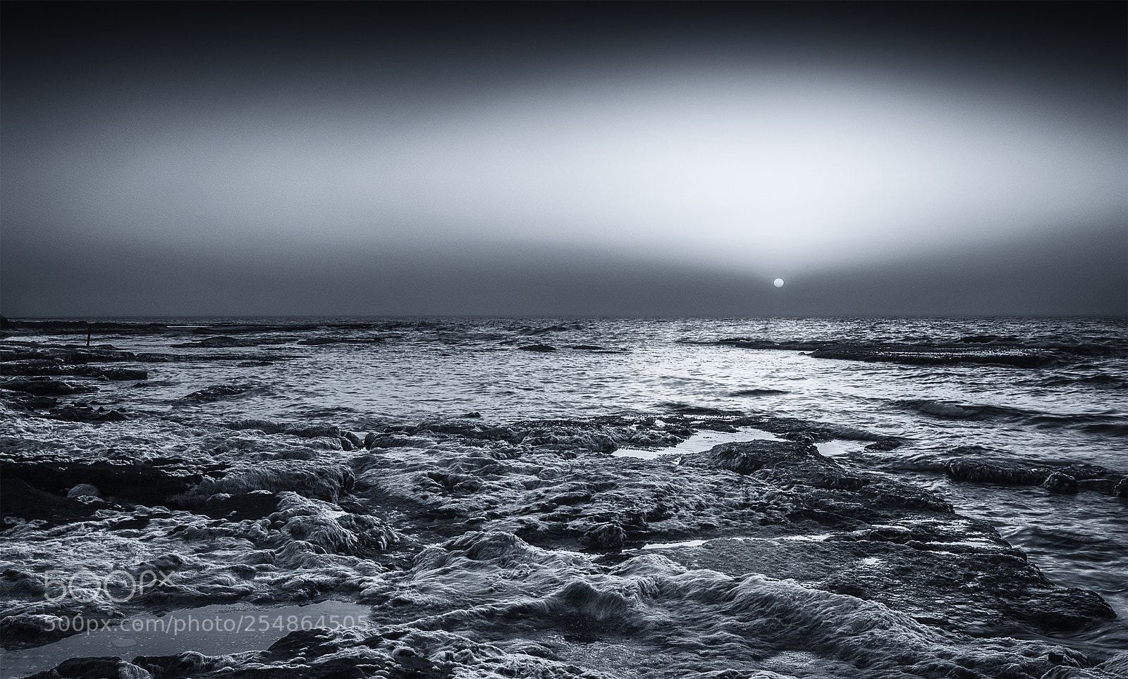 Nikon D600 sample photo. Sunset horizon b&w photography