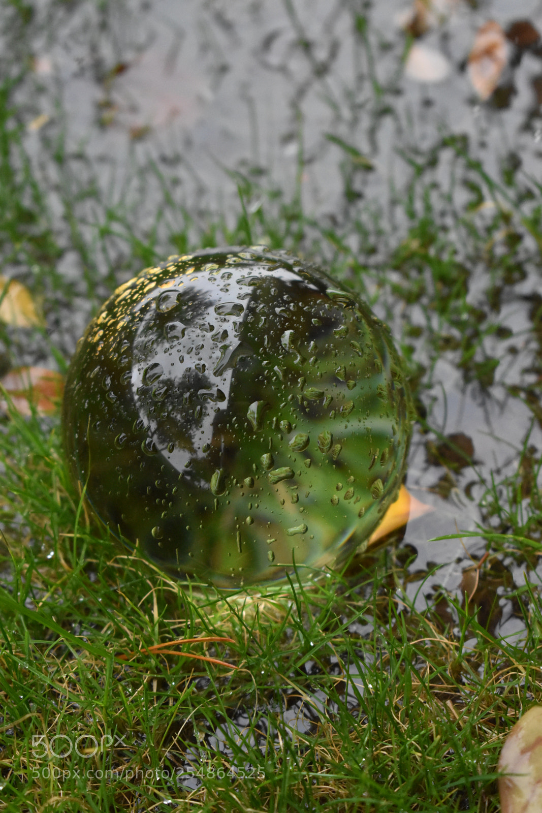 Nikon D5600 sample photo. Dsc photography