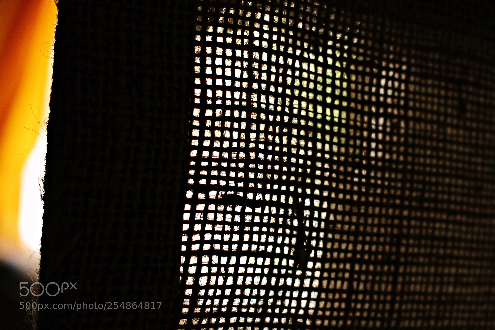 Canon EOS 700D (EOS Rebel T5i / EOS Kiss X7i) sample photo. Woven dreams photography