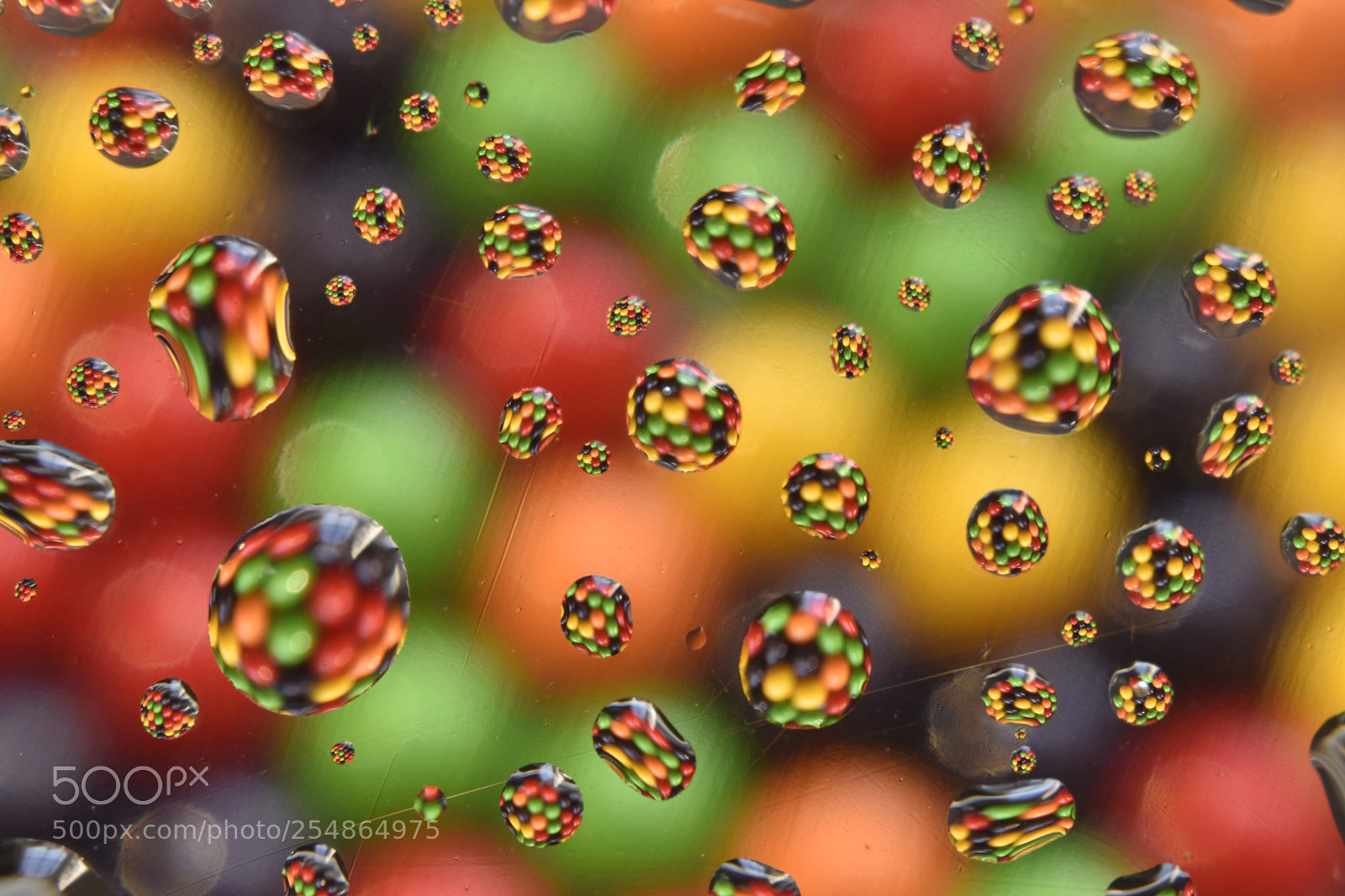 Nikon D5600 sample photo. Abstract macro photography