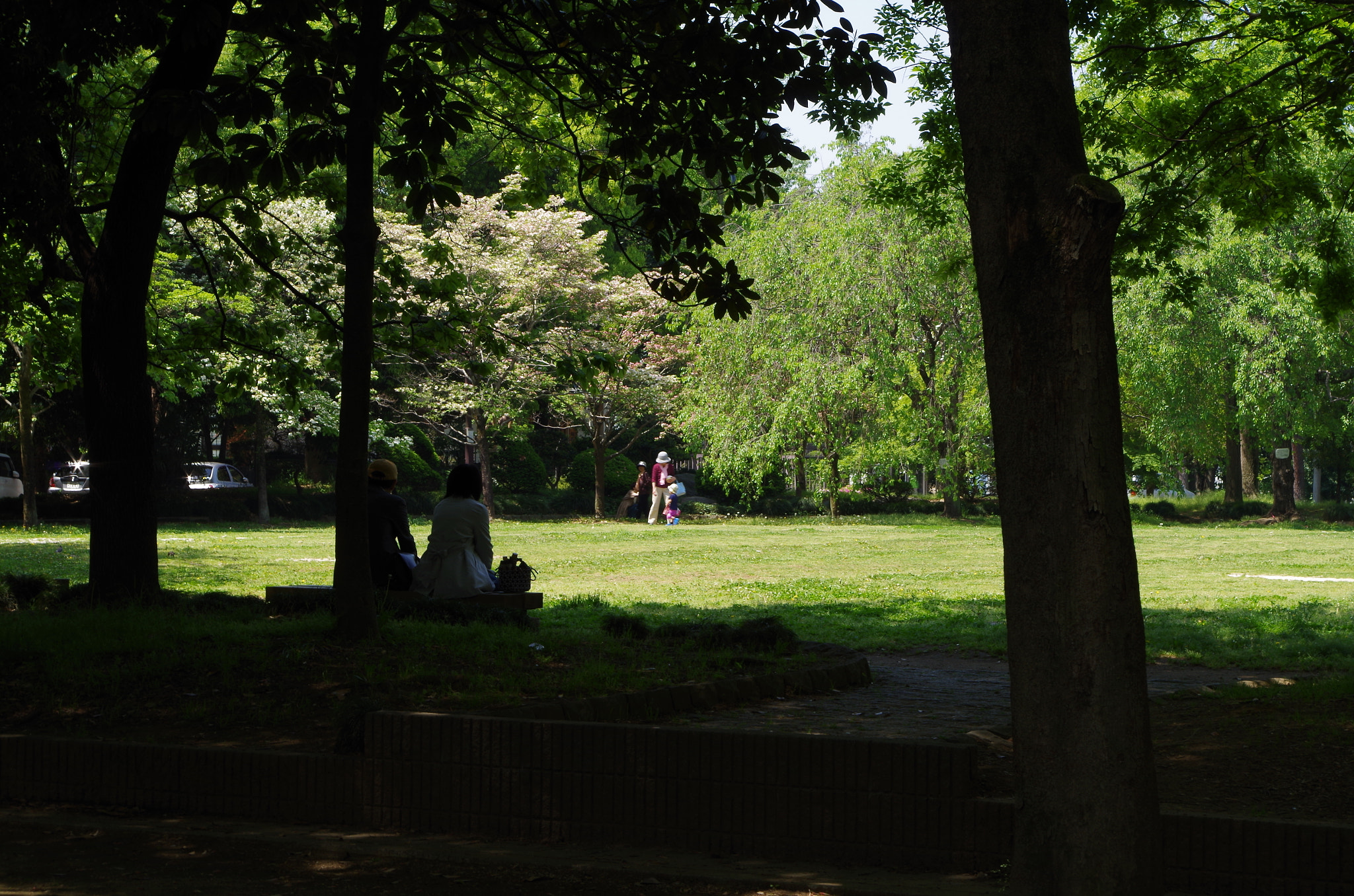 smc PENTAX-DA L 18-55mm F3.5-5.6 sample photo. At relaxation photography