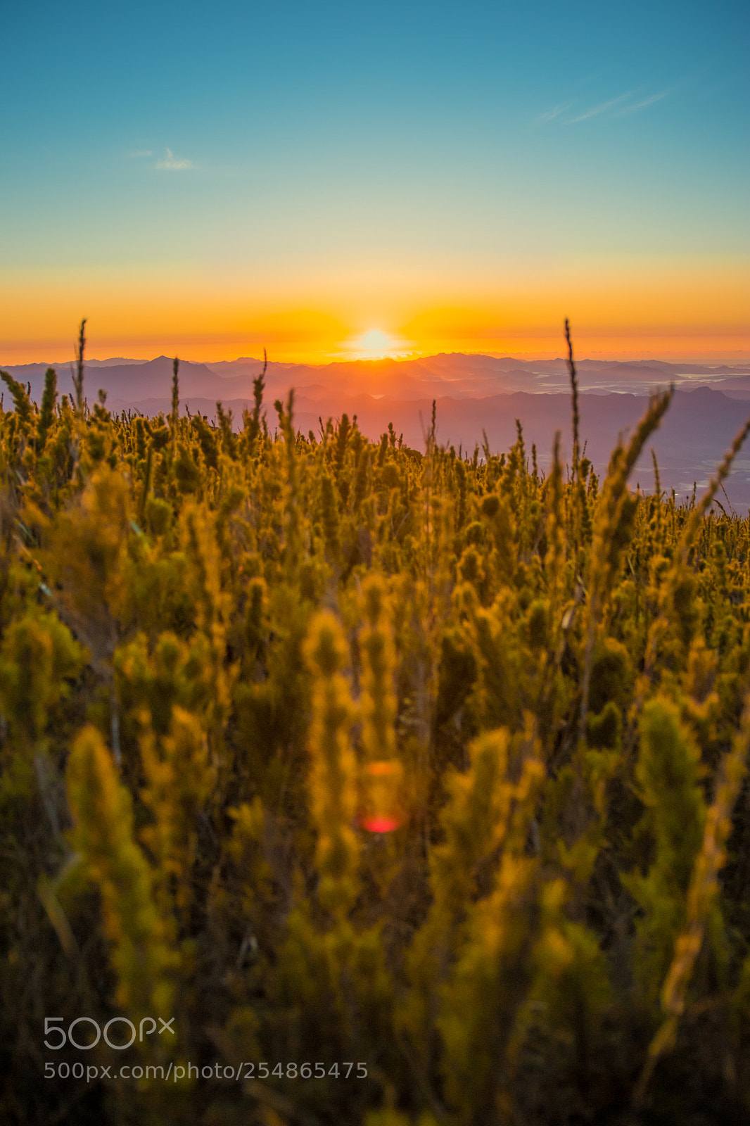 Canon EOS 80D sample photo. Sunrise on caratuva photography