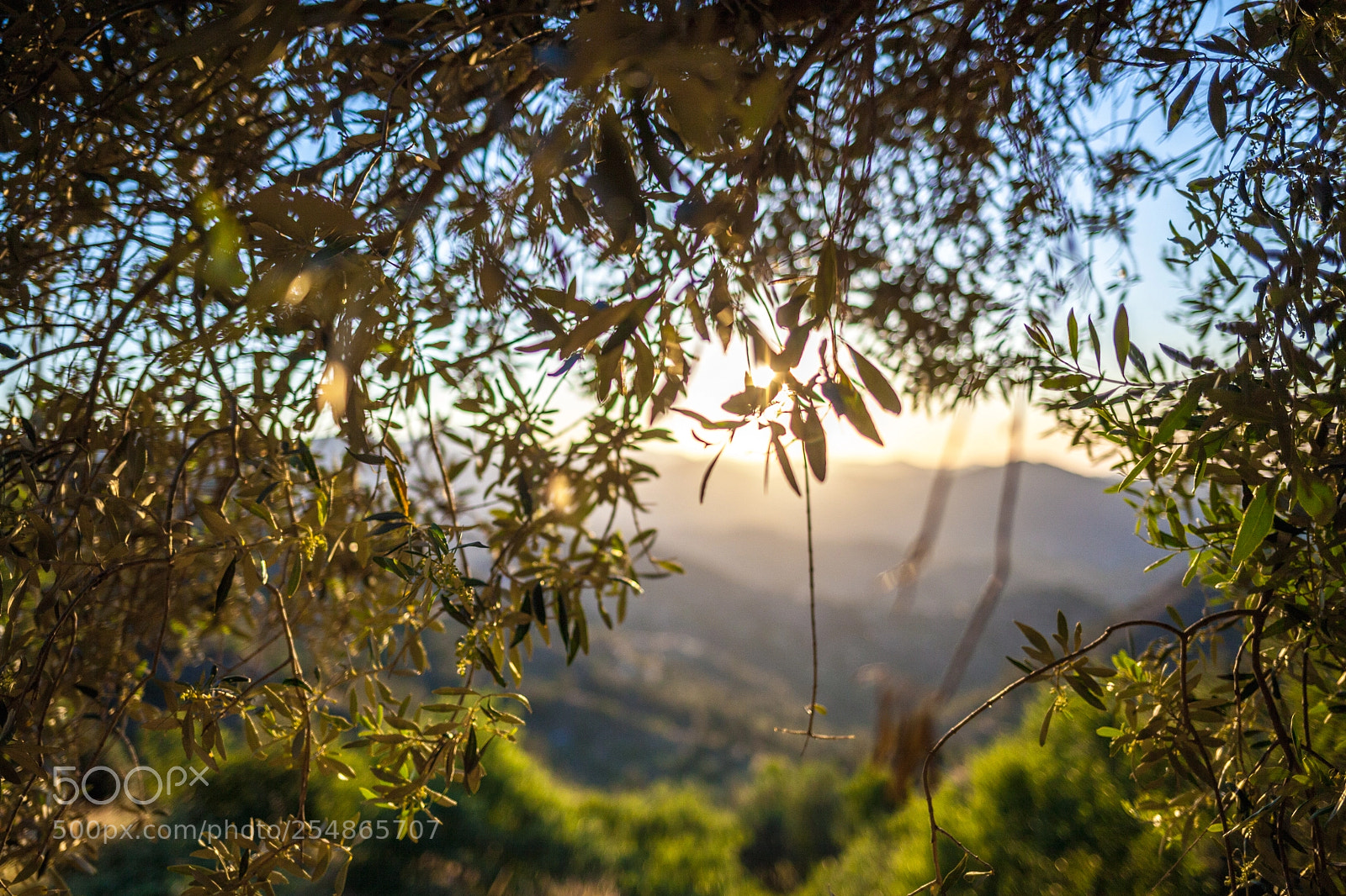 Canon EOS 5D Mark II sample photo. Fikardou, nicosia photography