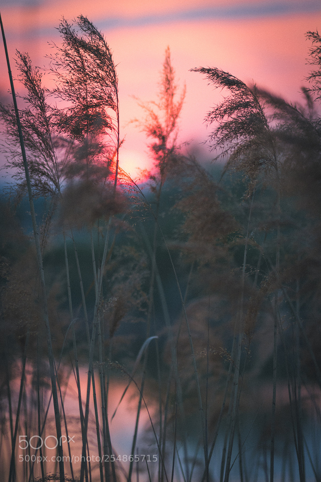 Nikon D7100 sample photo. At the lake photography