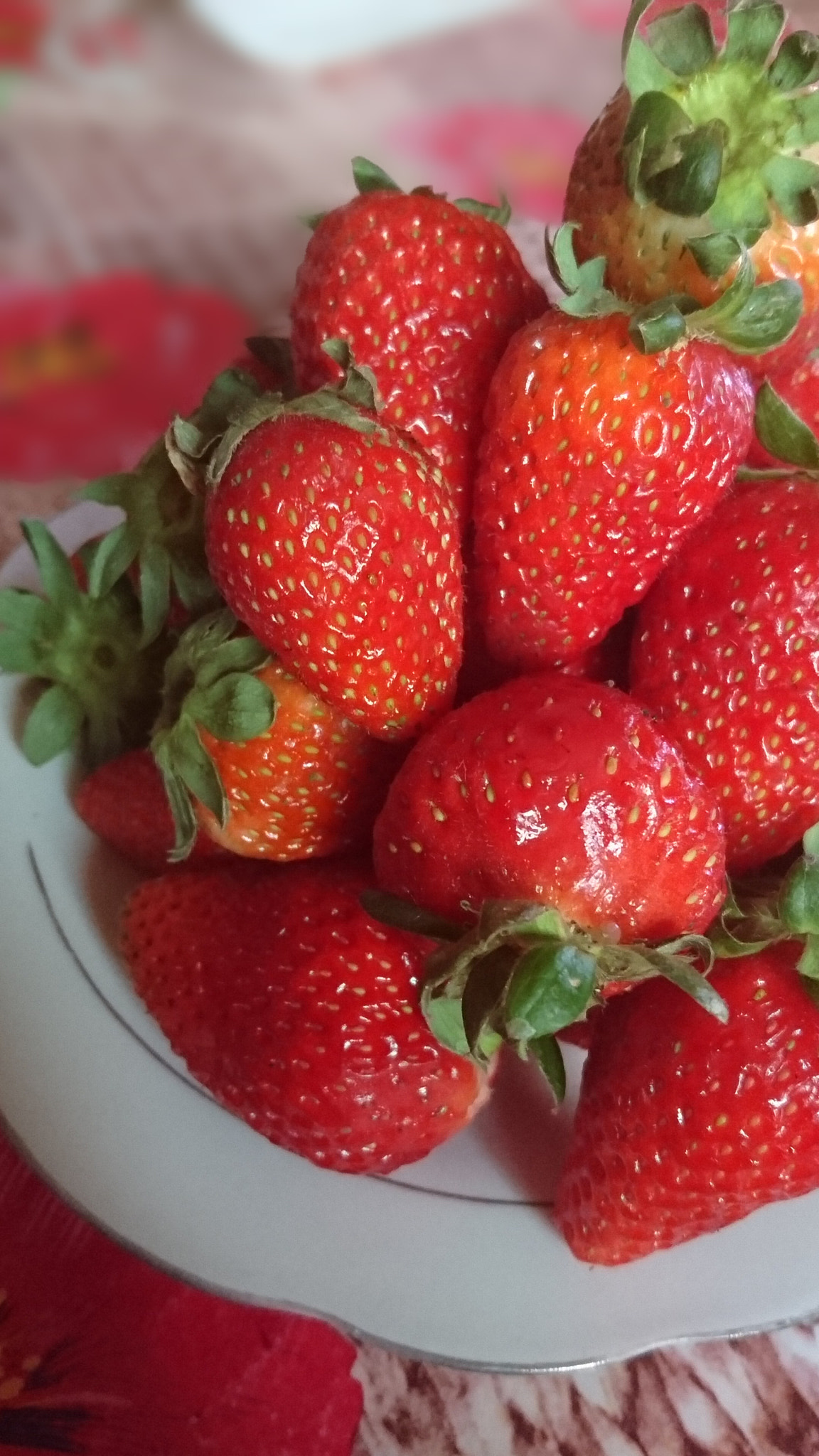 Sony Xperia Z5 sample photo