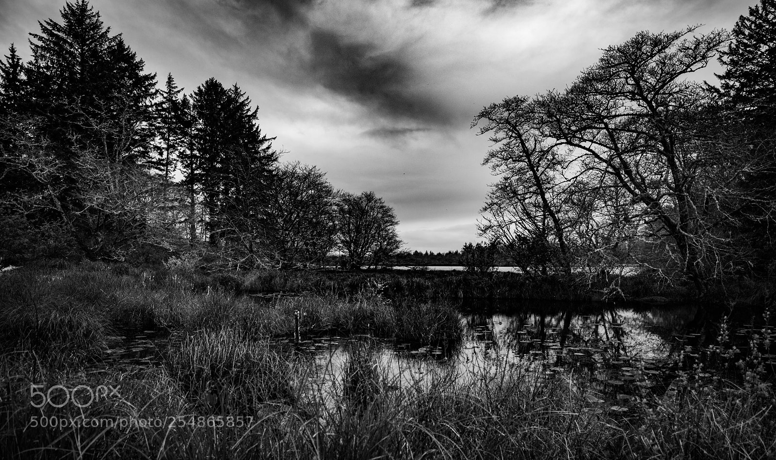 Canon EOS 5D Mark IV sample photo. Cape disappointment photography