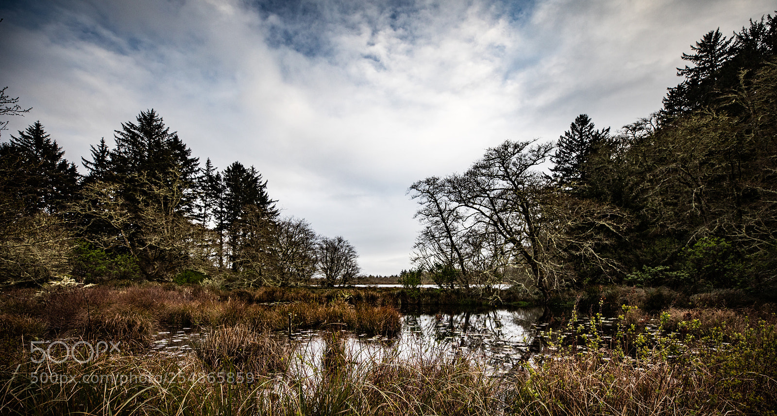 Canon EOS 5D Mark IV sample photo. Cape disappointment photography
