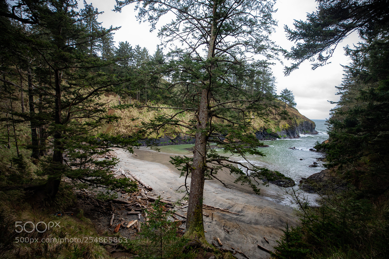 Canon EOS 5D Mark IV sample photo. Cape disappointment photography