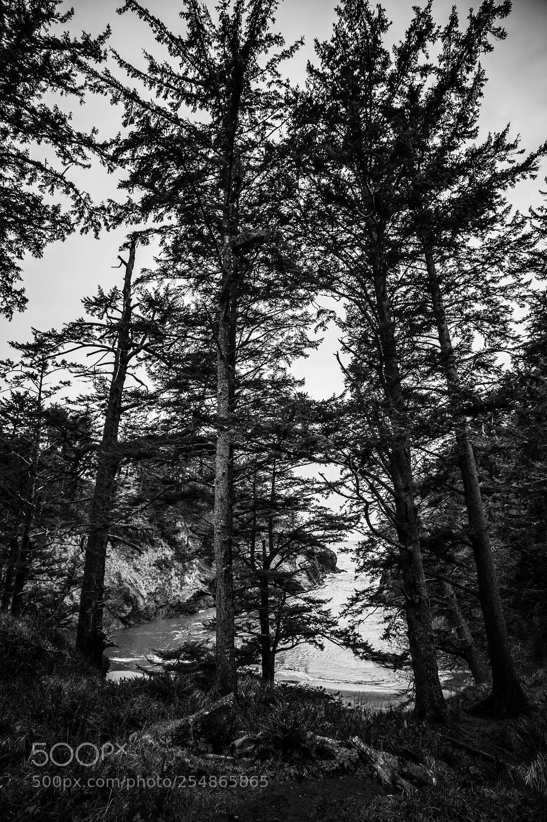 Canon EOS 5D Mark IV sample photo. Cape disappointment photography