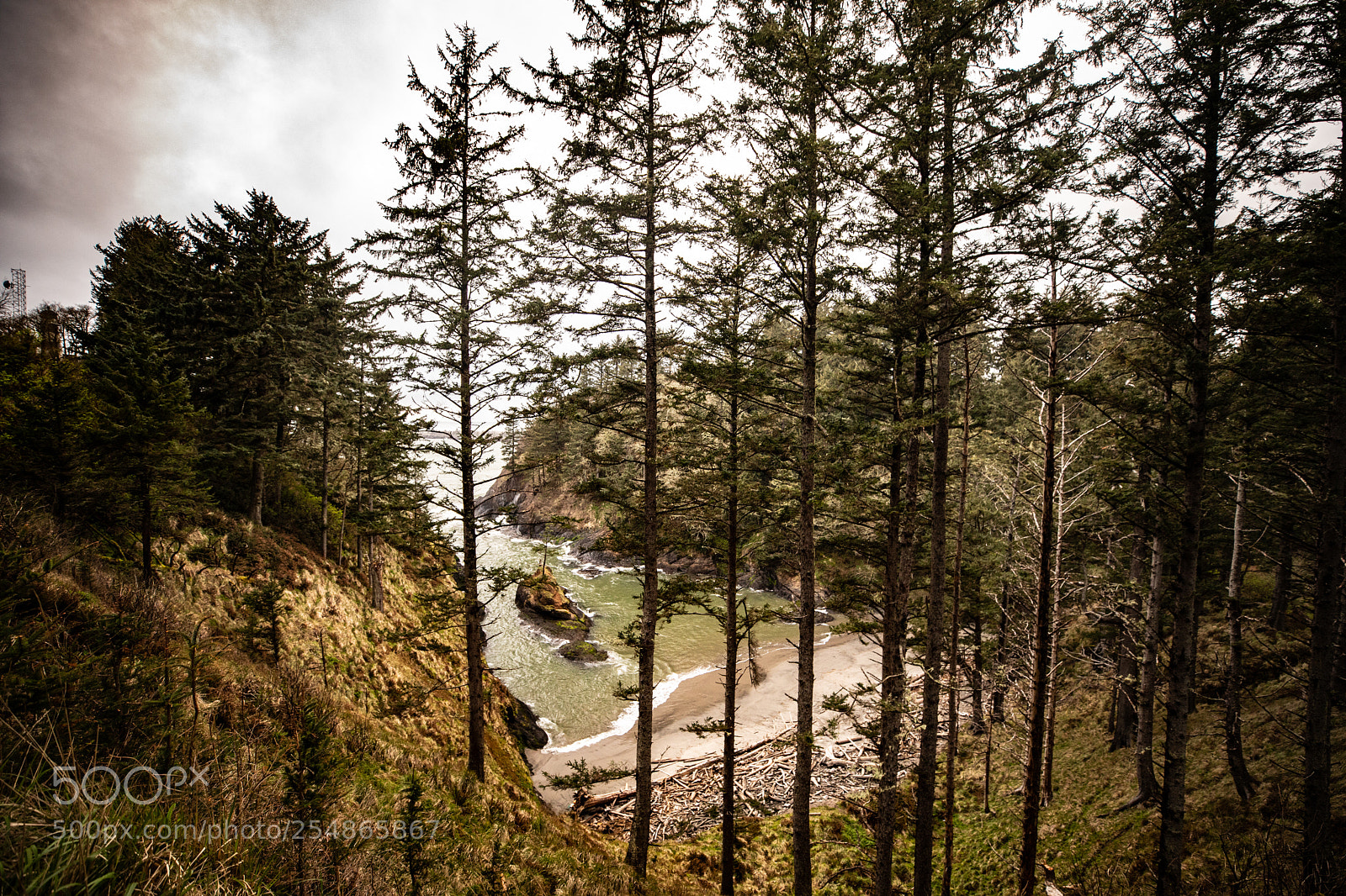 Canon EOS 5D Mark IV sample photo. Cape disappointment photography