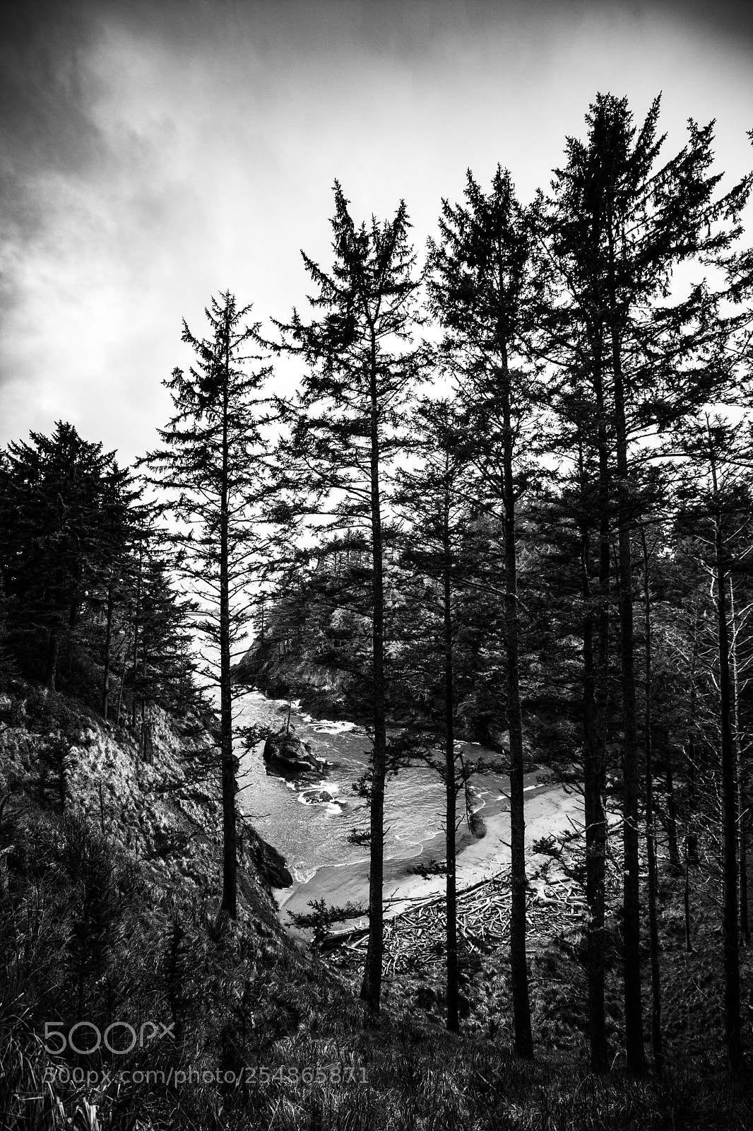 Canon EOS 5D Mark IV sample photo. Cape disappointment photography