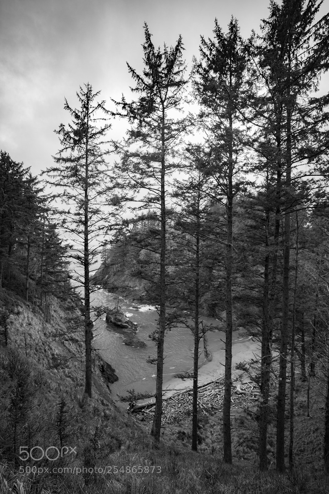 Canon EOS 5D Mark IV sample photo. Cape disappointment photography