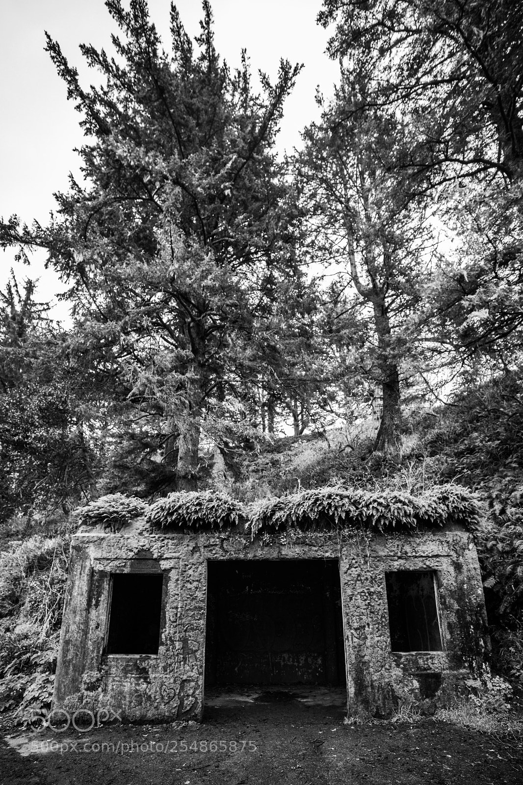 Canon EOS 5D Mark IV sample photo. Cape disappointment photography
