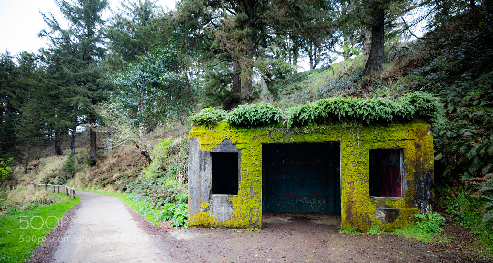 Canon EOS 5D Mark IV sample photo. Cape disappointment photography