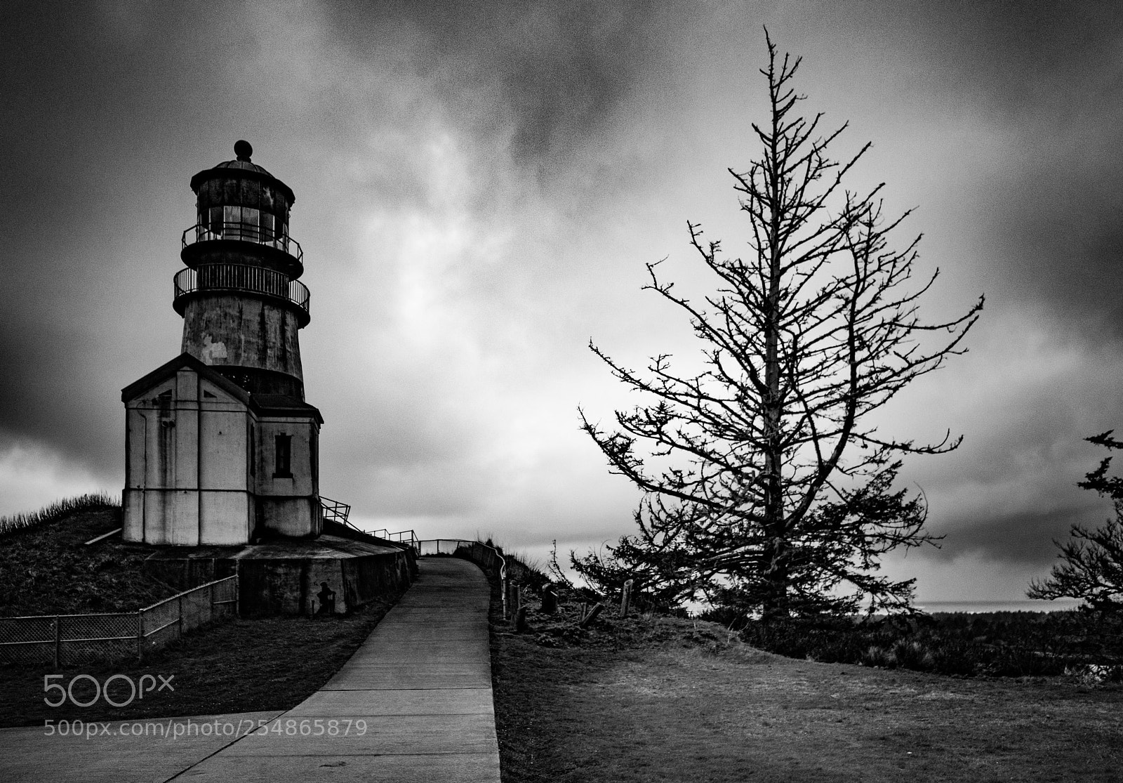 Canon EOS 5D Mark IV sample photo. Cape disappointment photography