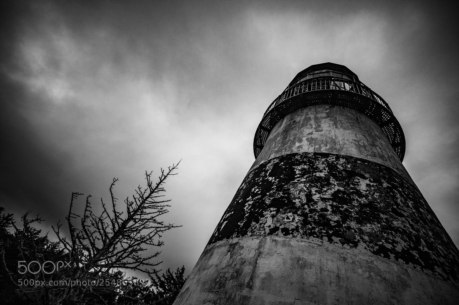 Canon EOS 5D Mark IV sample photo. Cape disappointment photography