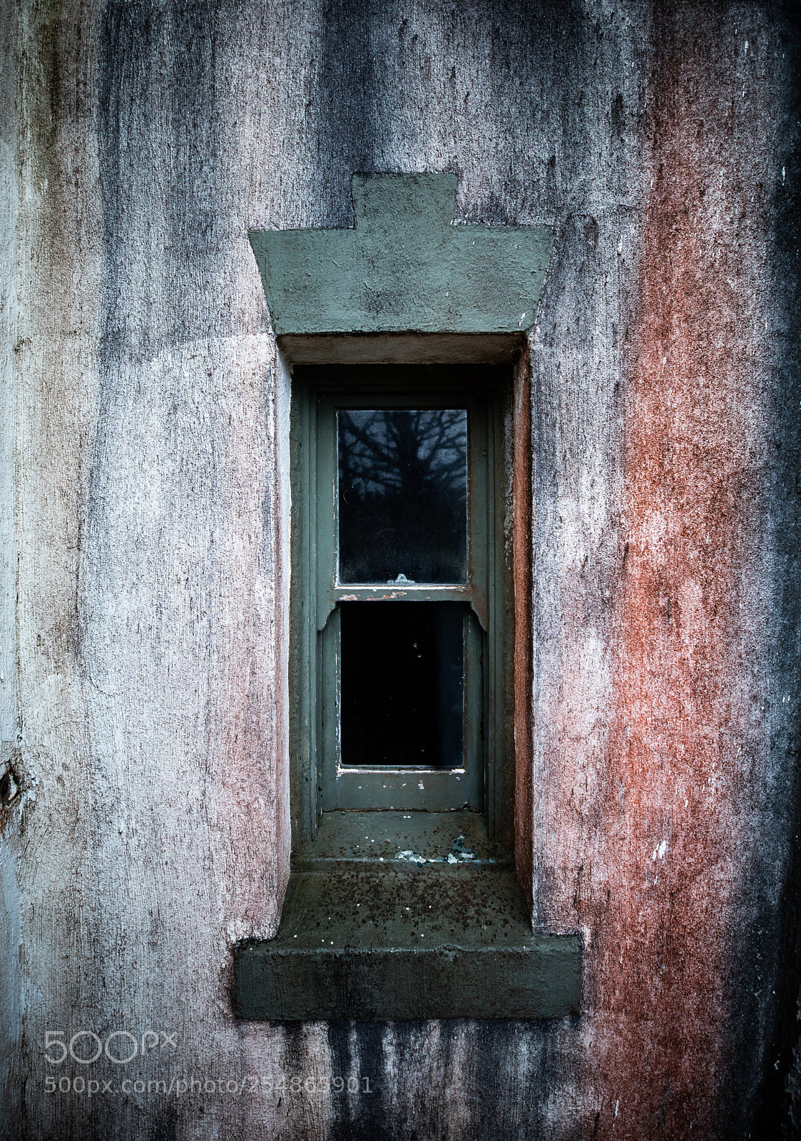 Canon EOS 5D Mark IV sample photo. Cape disappointment photography