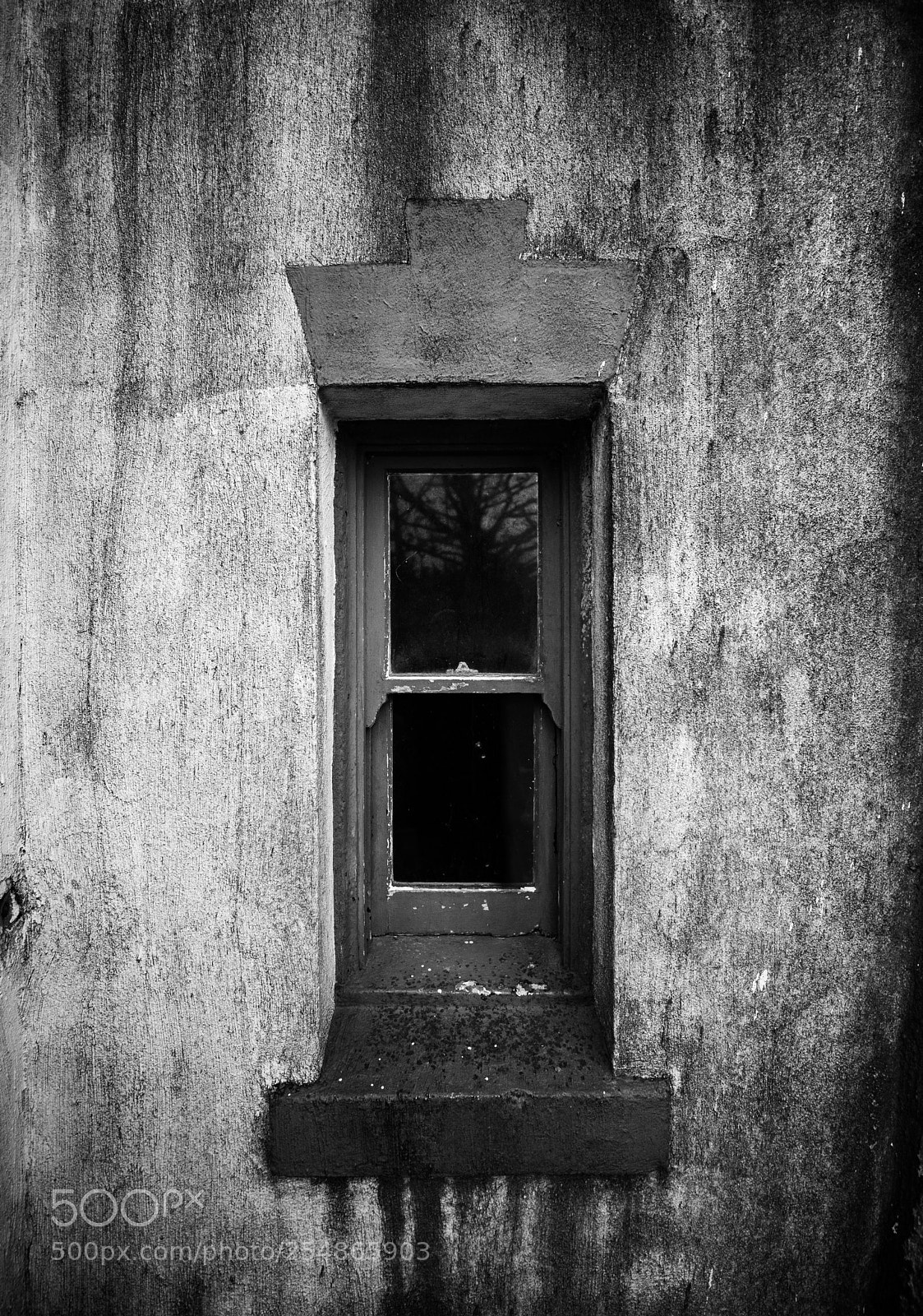 Canon EOS 5D Mark IV sample photo. Cape disappointment photography
