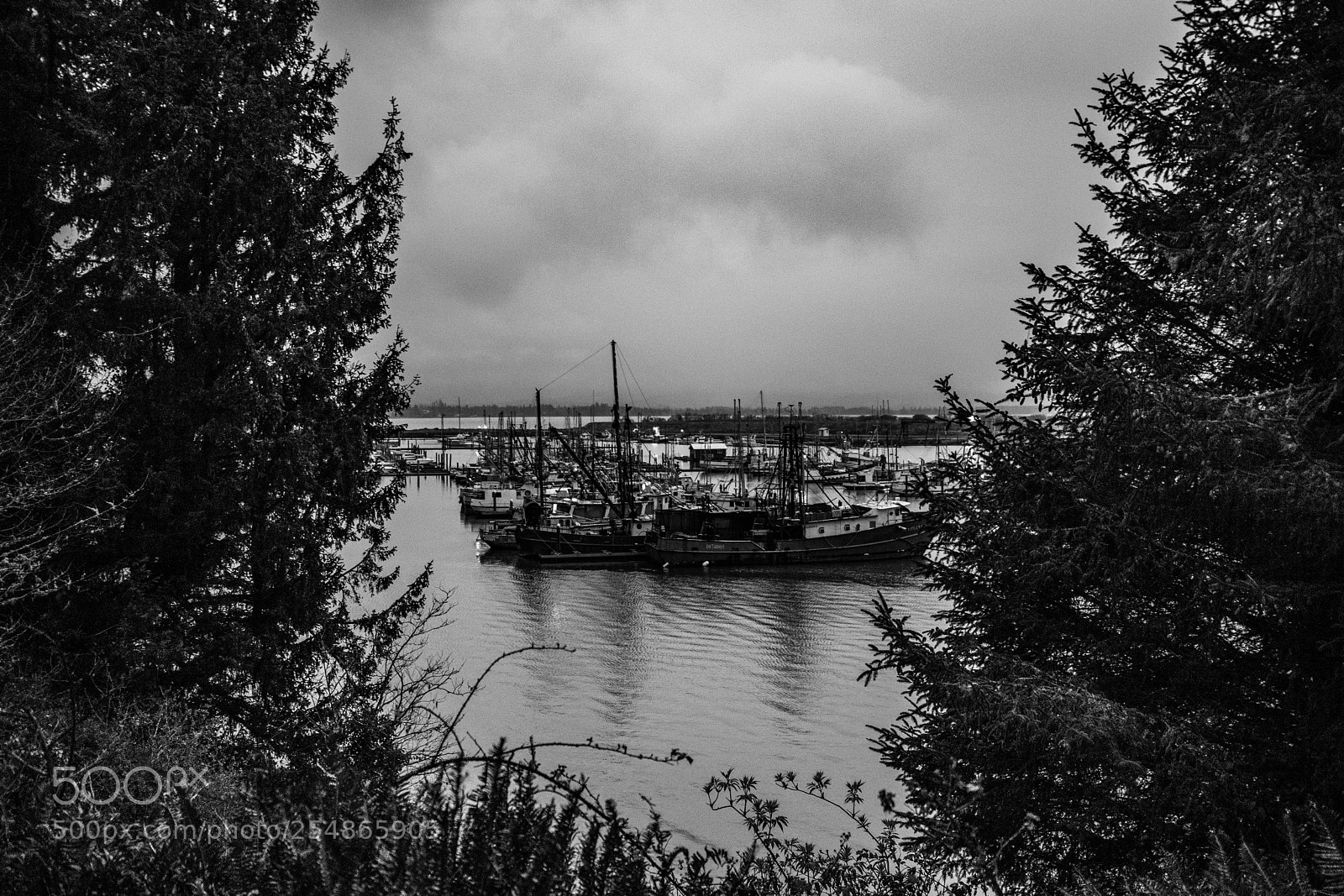Canon EOS 5D Mark IV sample photo. Cape disappointment photography