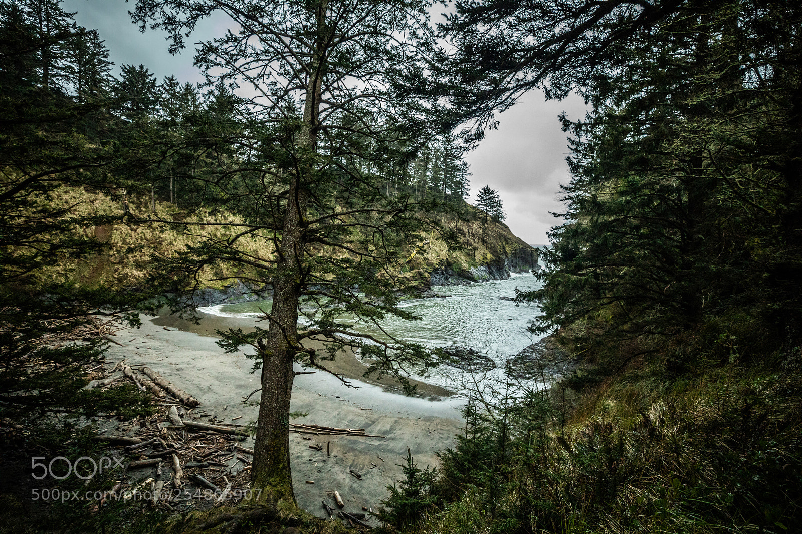 Canon EOS 5D Mark IV sample photo. Cape disappointment photography