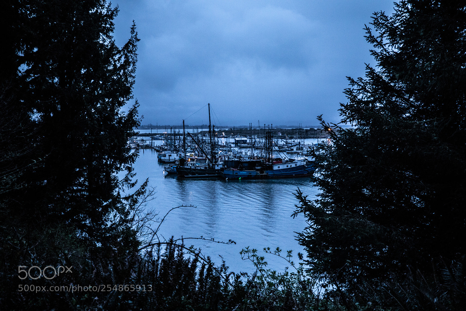 Canon EOS 5D Mark IV sample photo. Cape disappointment photography