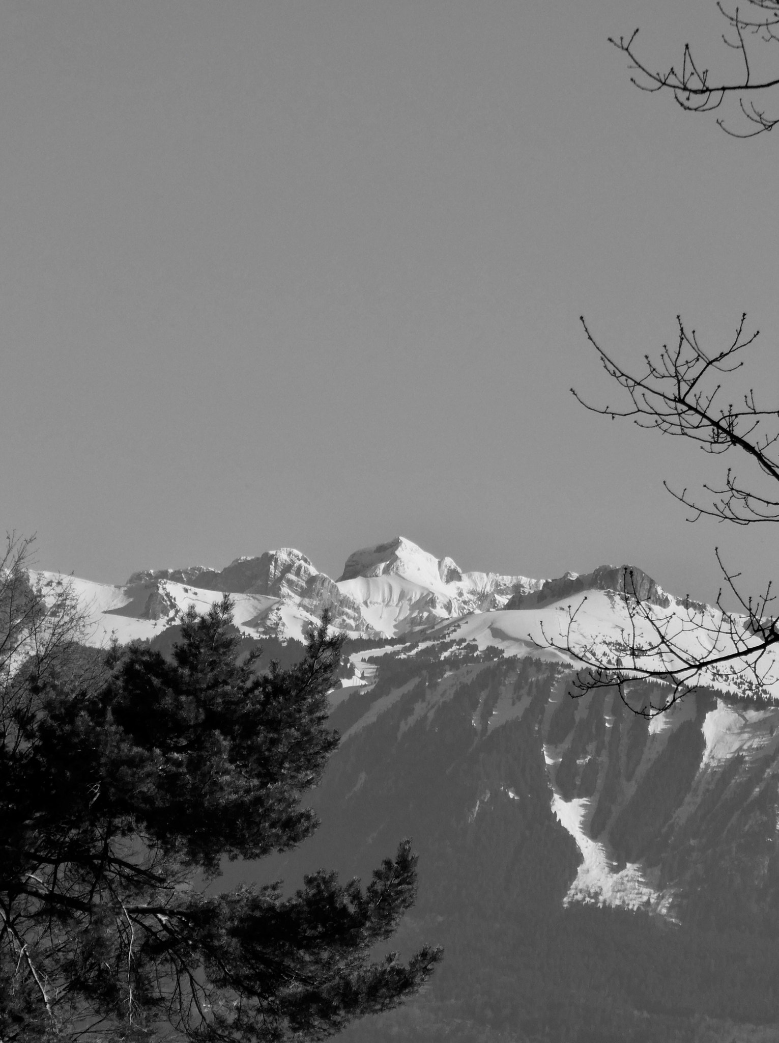 Panasonic DC-TZ91 sample photo. Mars 2018 photography