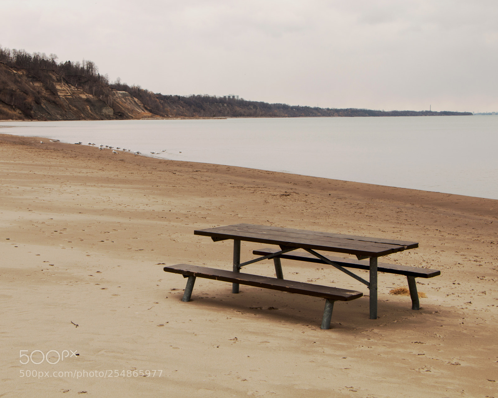 Canon EOS 70D sample photo. Picnic table available photography