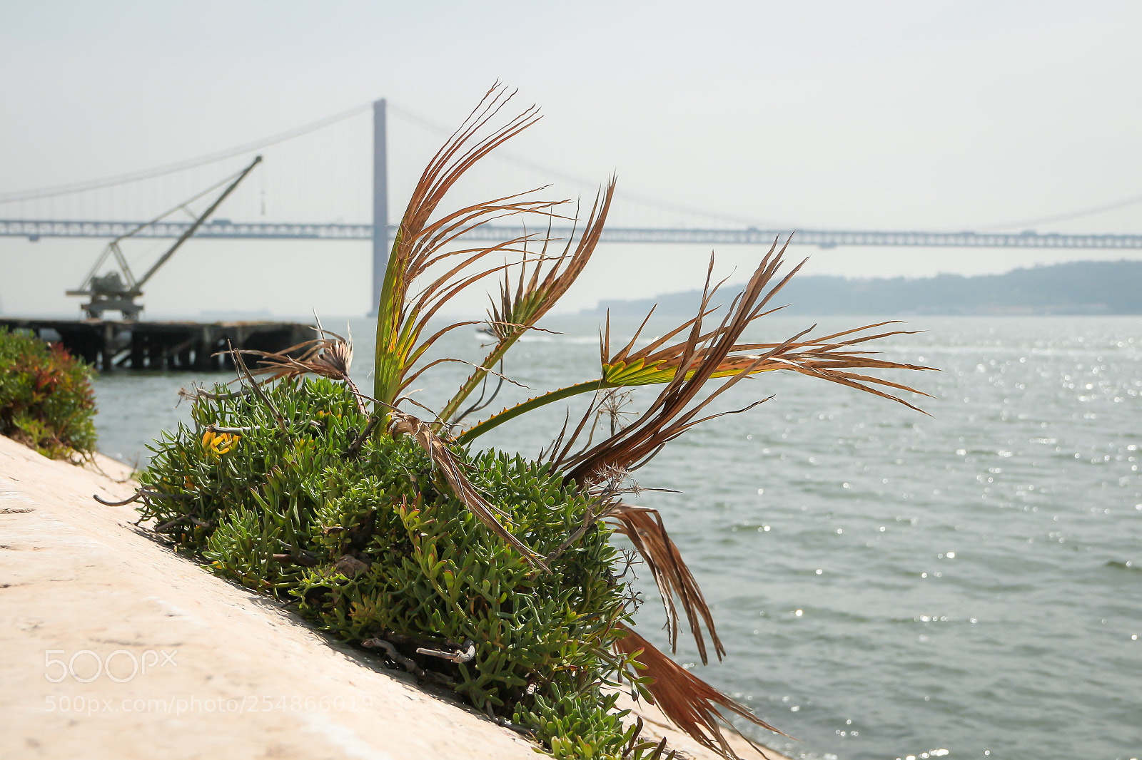 Canon EOS 700D (EOS Rebel T5i / EOS Kiss X7i) sample photo. By the river photography