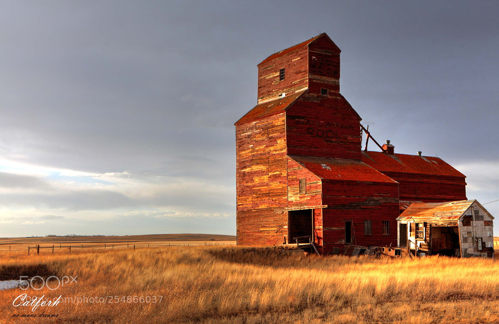 Canon EOS 5D Mark II sample photo. Still standing photography