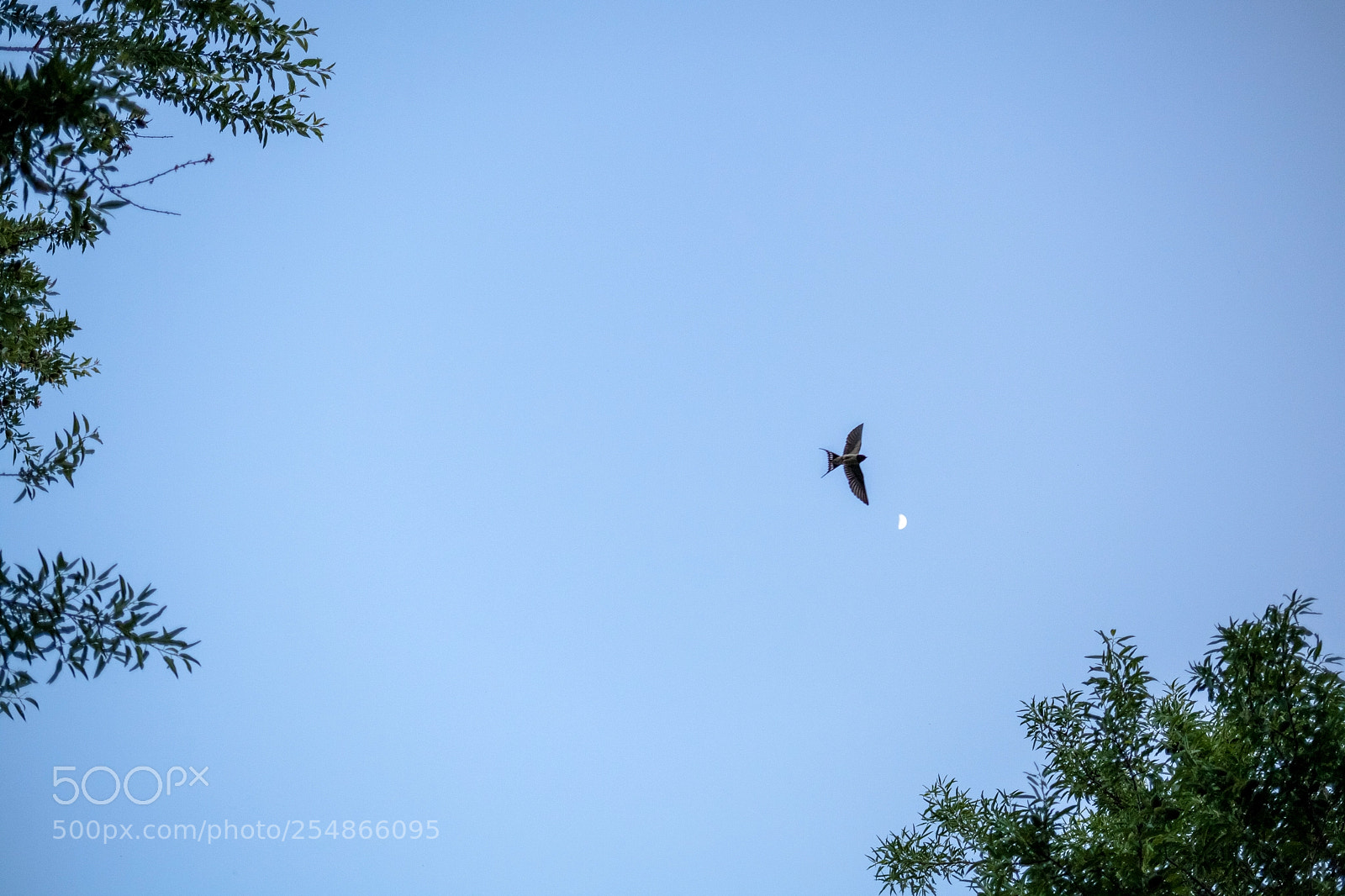 Canon EOS 5D Mark II sample photo. Fikardou, nicosia photography