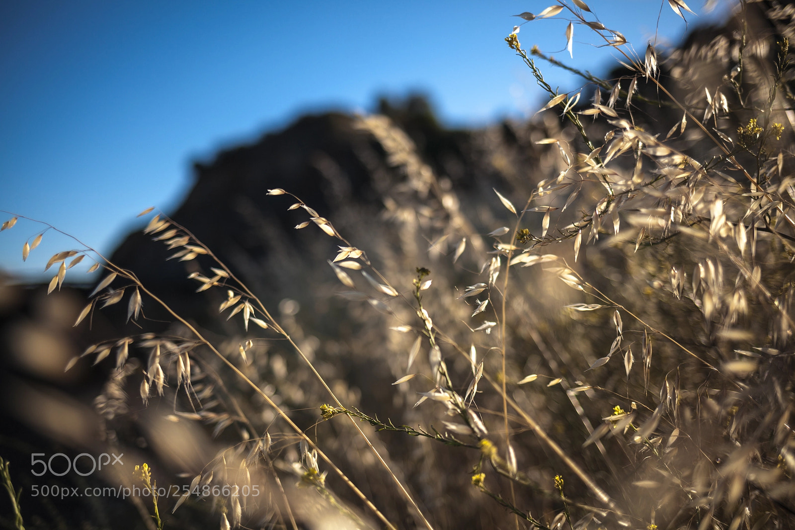 Canon EOS 5D Mark II sample photo. Melini, larnaca photography