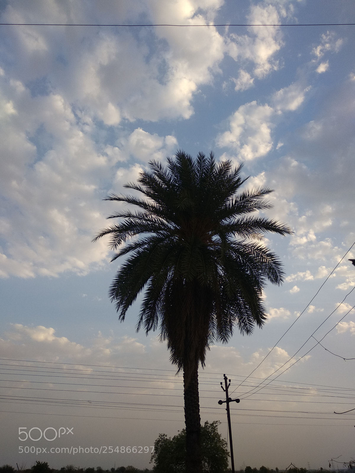 Xiaomi Mi A1 sample photo. Untitled photography