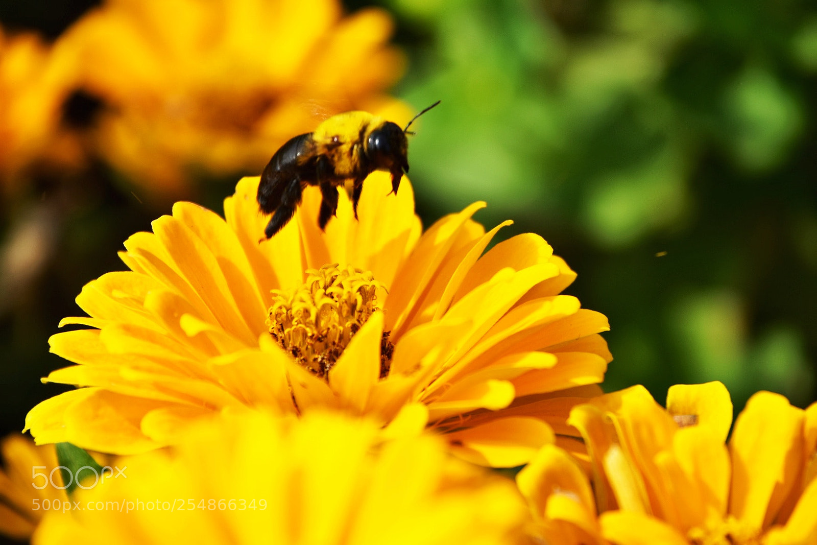 Nikon D7200 sample photo. Wow, landing now photography