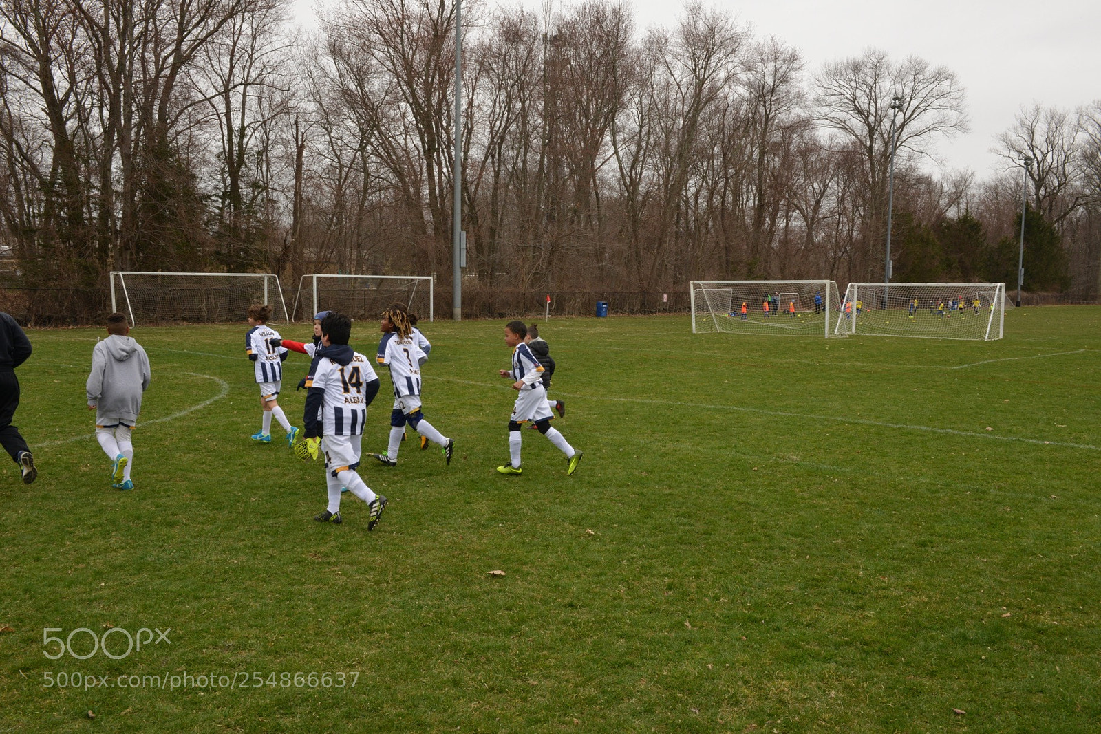 Nikon D800 sample photo. Storm vs shock photography