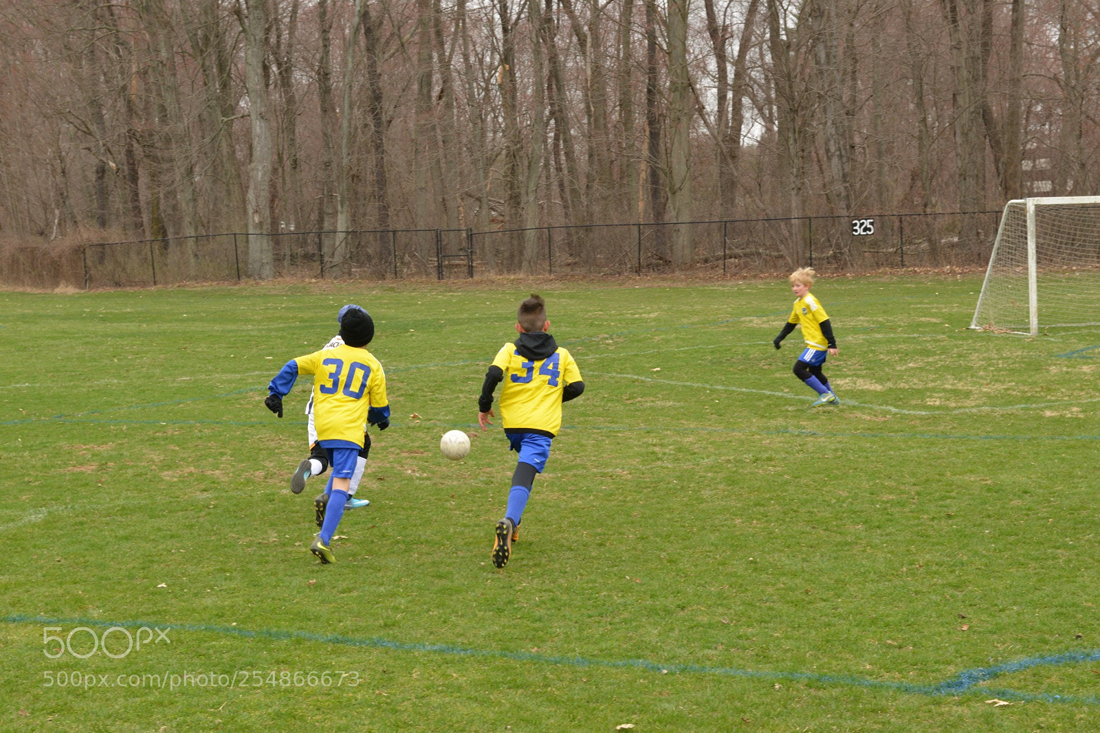 Nikon D800 sample photo. Storm vs shock photography