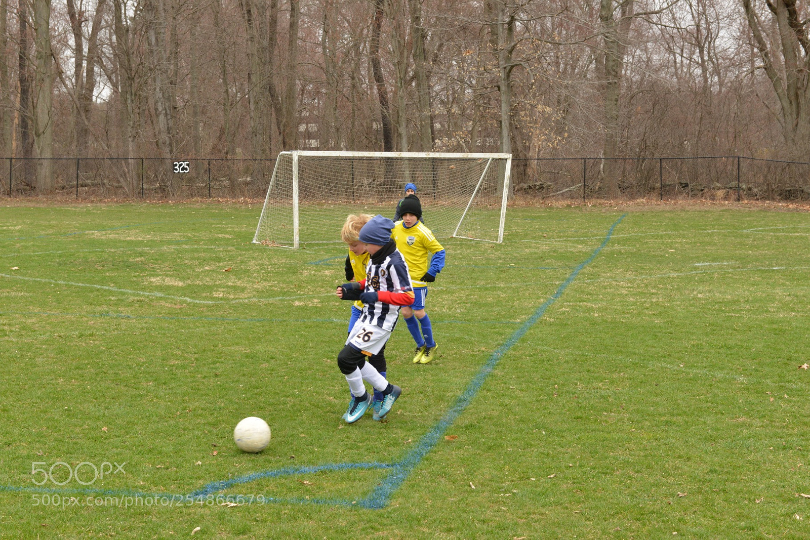 Nikon D800 sample photo. Storm vs shock photography