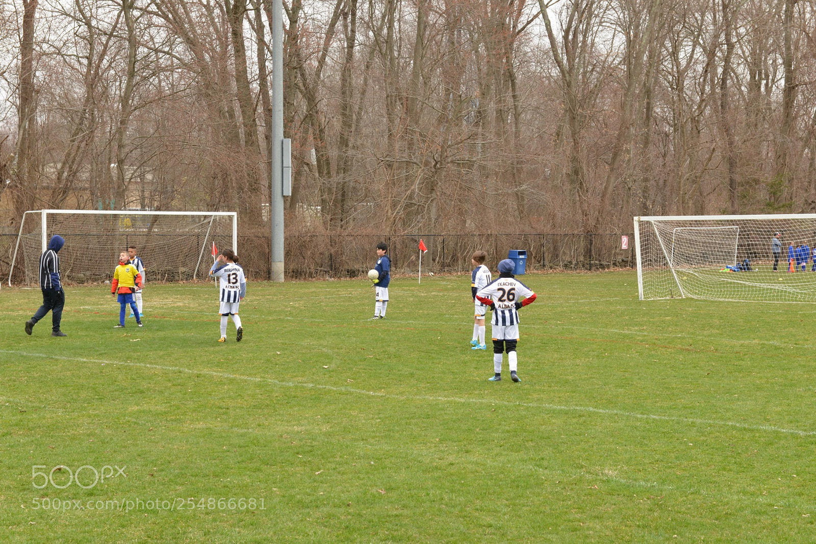 Nikon D800 sample photo. Storm vs shock photography