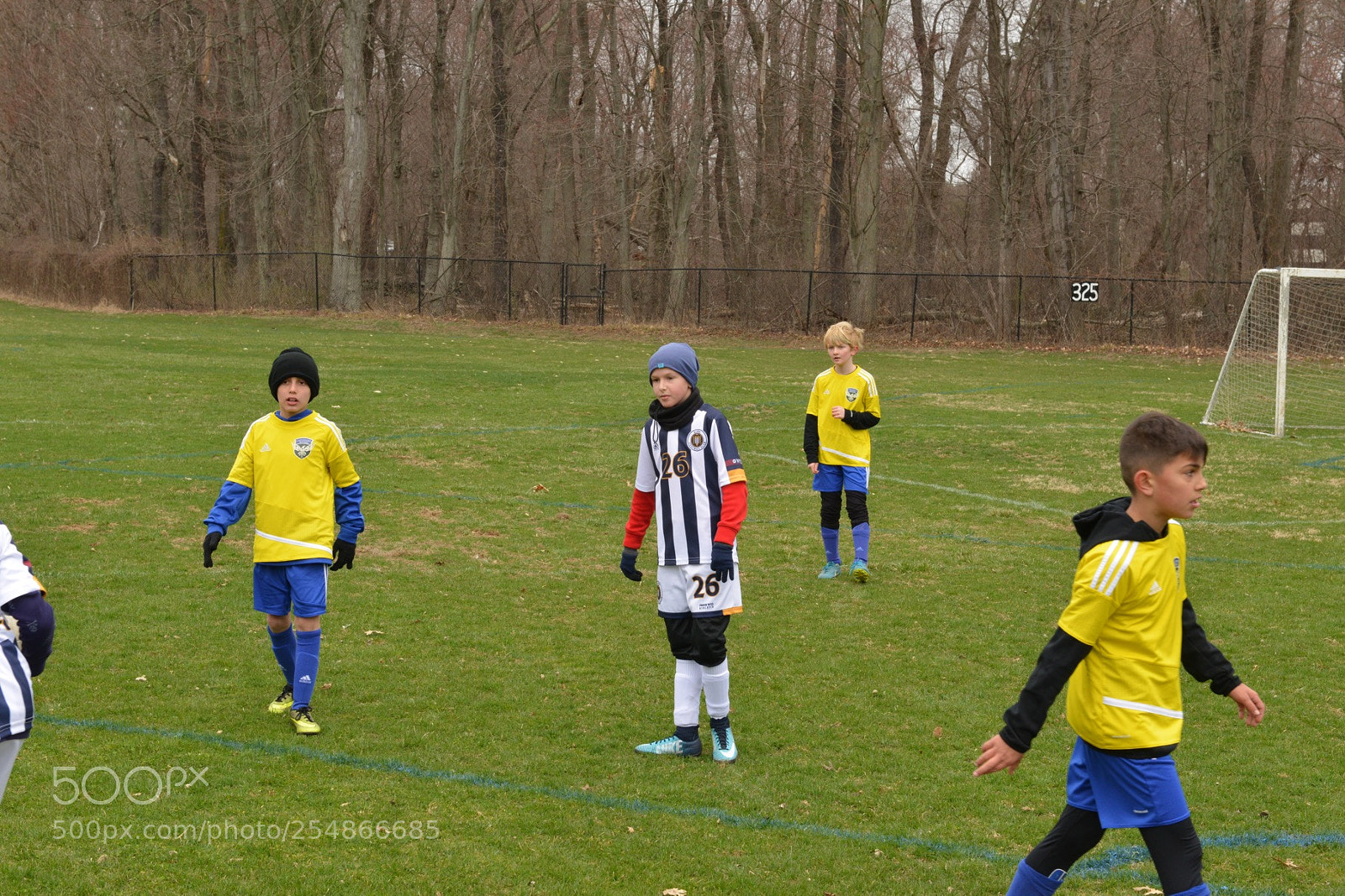 Nikon D800 sample photo. Storm vs shock photography