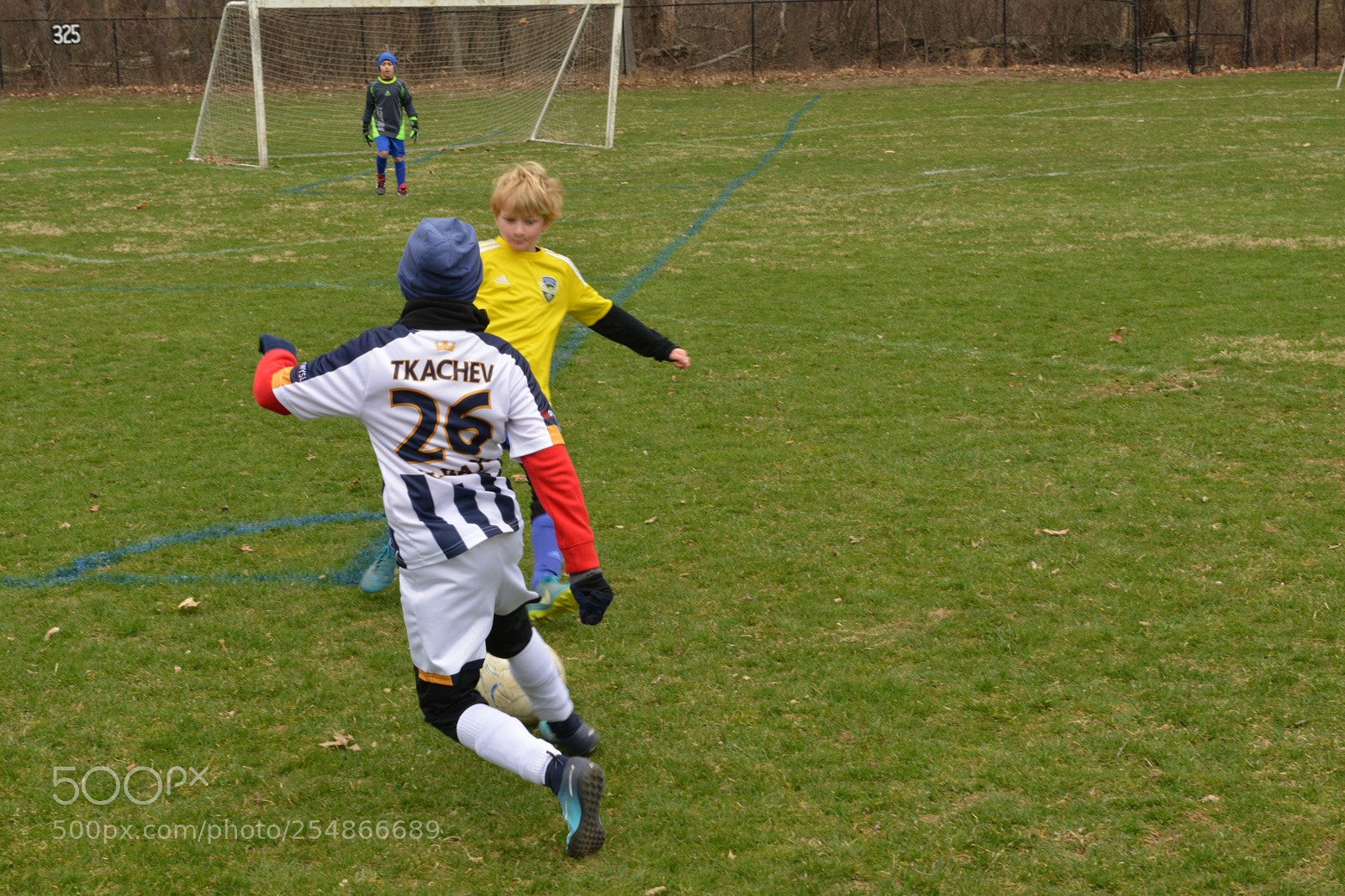 Nikon D800 sample photo. Storm vs shock photography