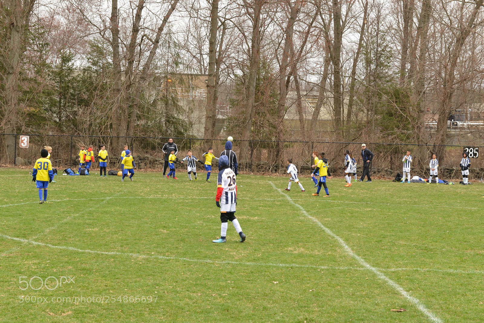 Nikon D800 sample photo. Storm vs shock photography
