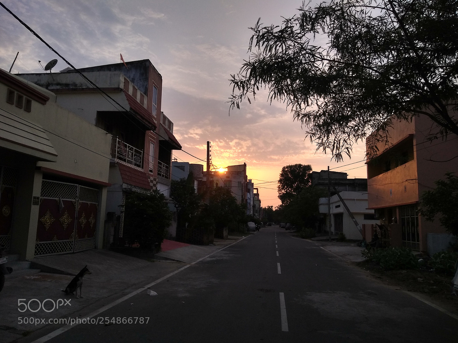 Motorola Moto G (5S) Plus sample photo. Untitled photography