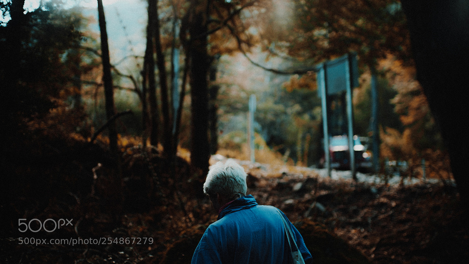 Sony a7S II sample photo. Dsc photography