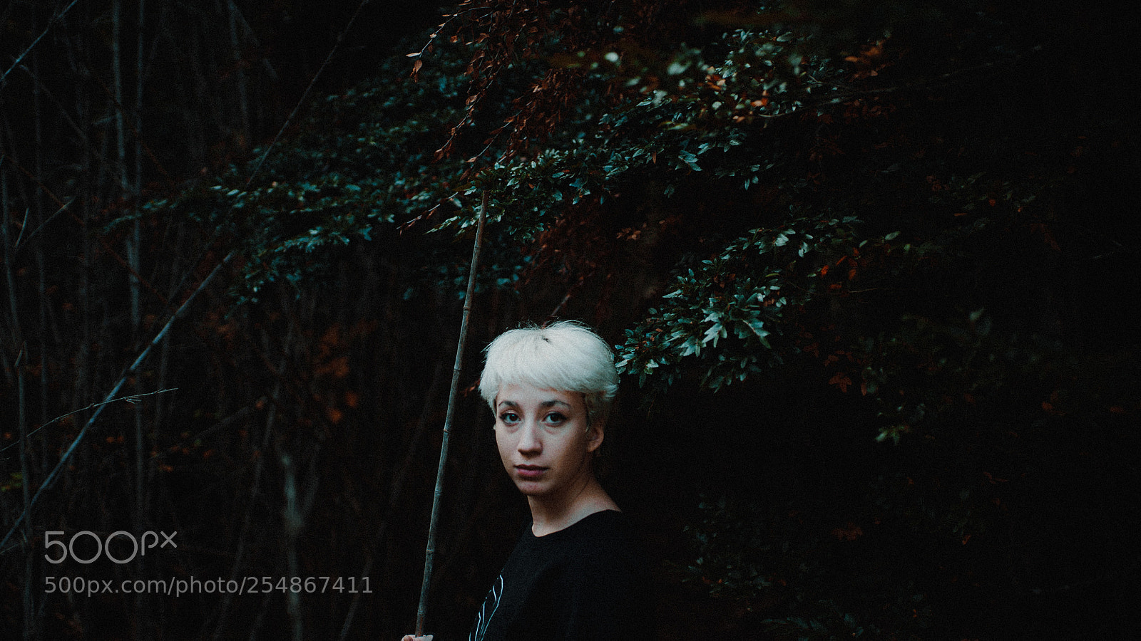 Sony a7S II sample photo. Dsc photography