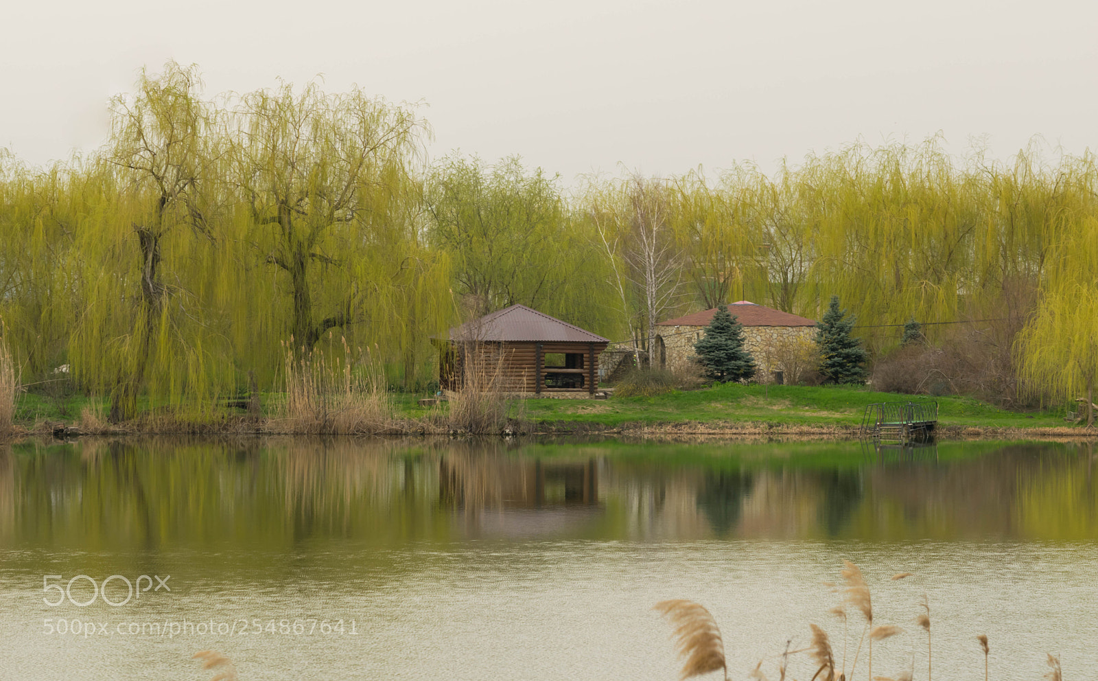 Nikon D5300 sample photo. Metochion photography