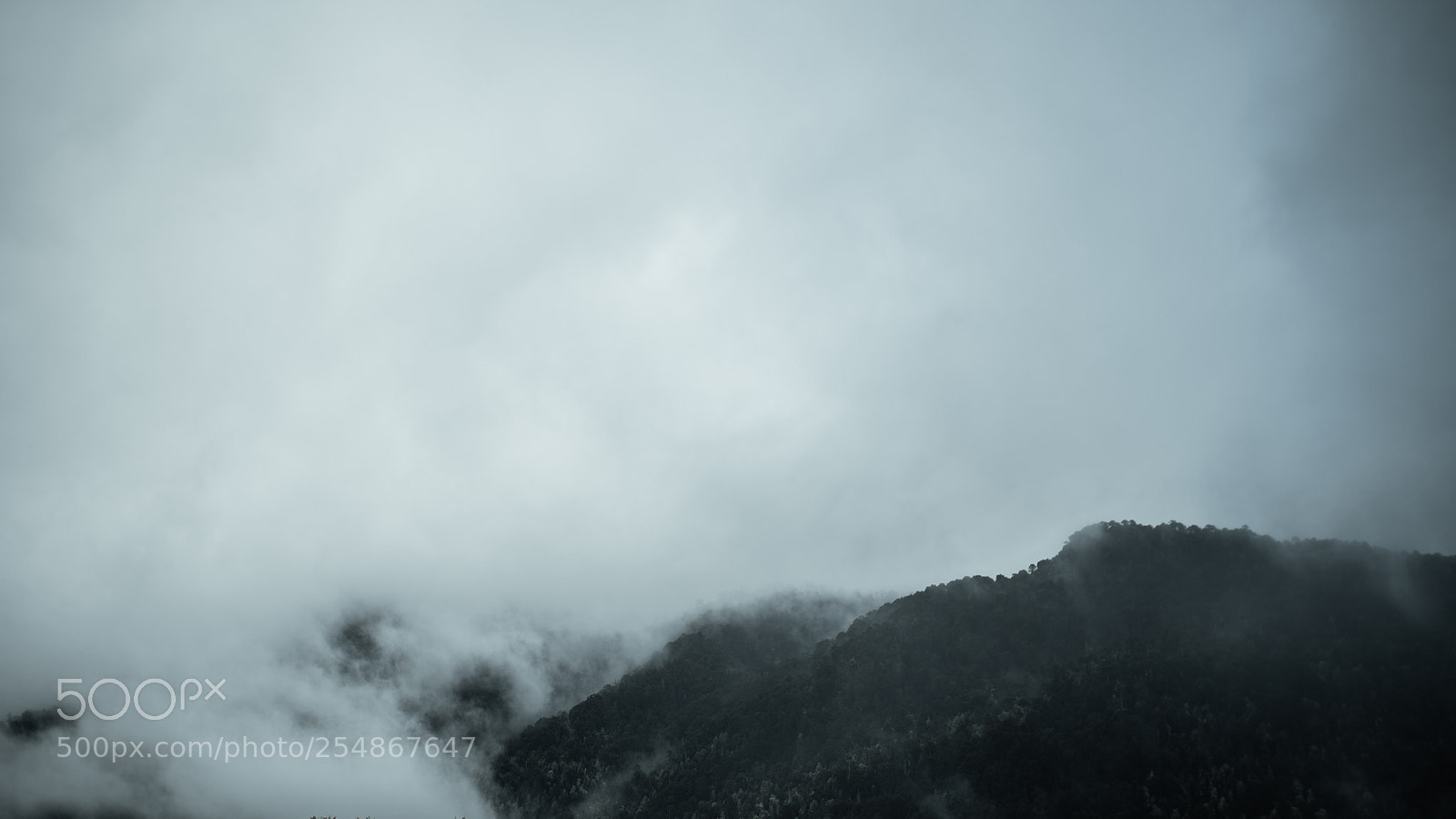 Sony a7S II sample photo. Dsc photography